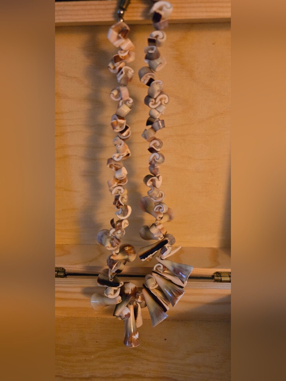 Vintage Sliced Shell/cone Shell Cluster Necklace